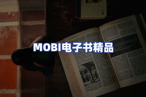 外文电子书产品